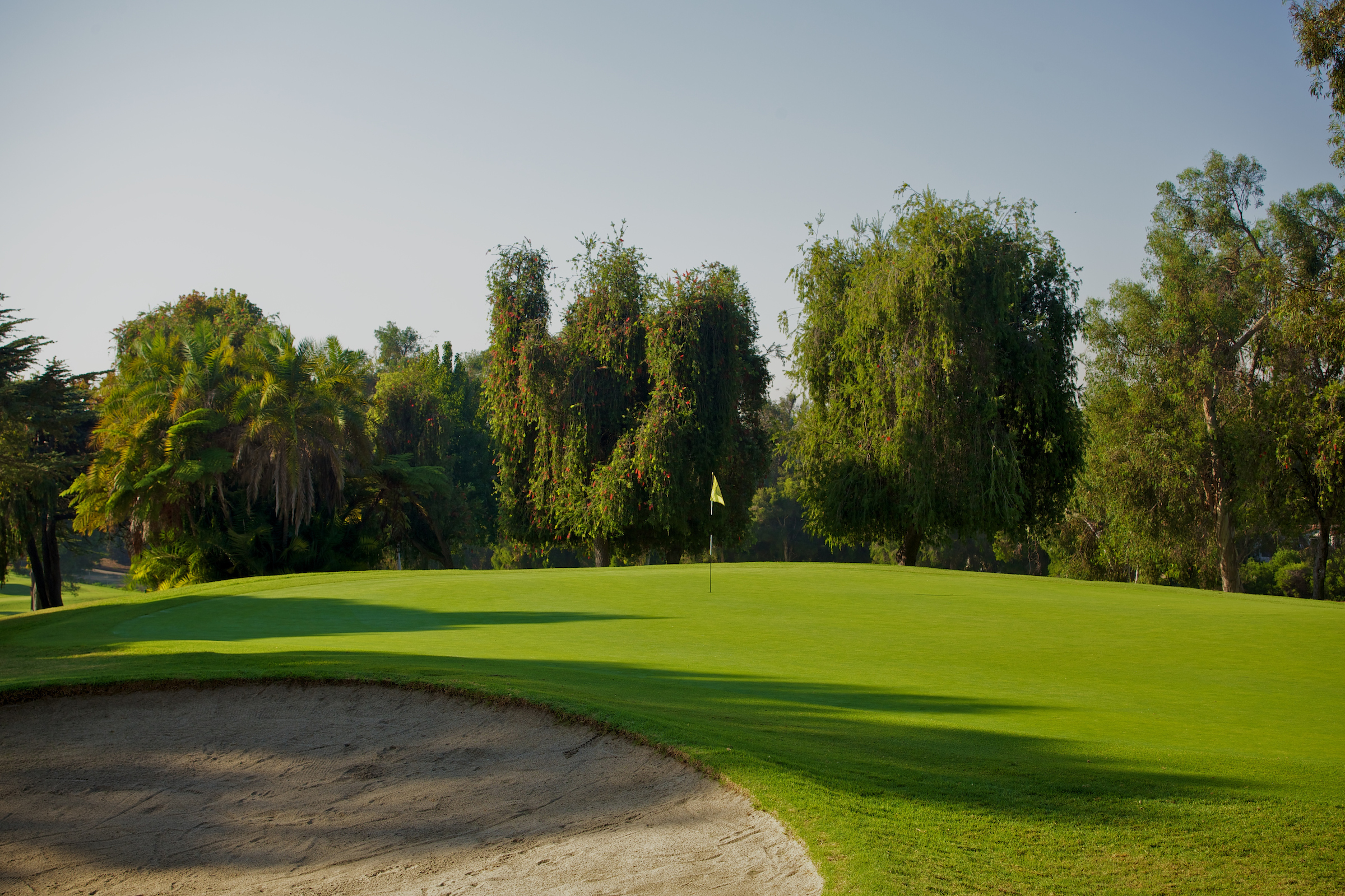 Course Renovation