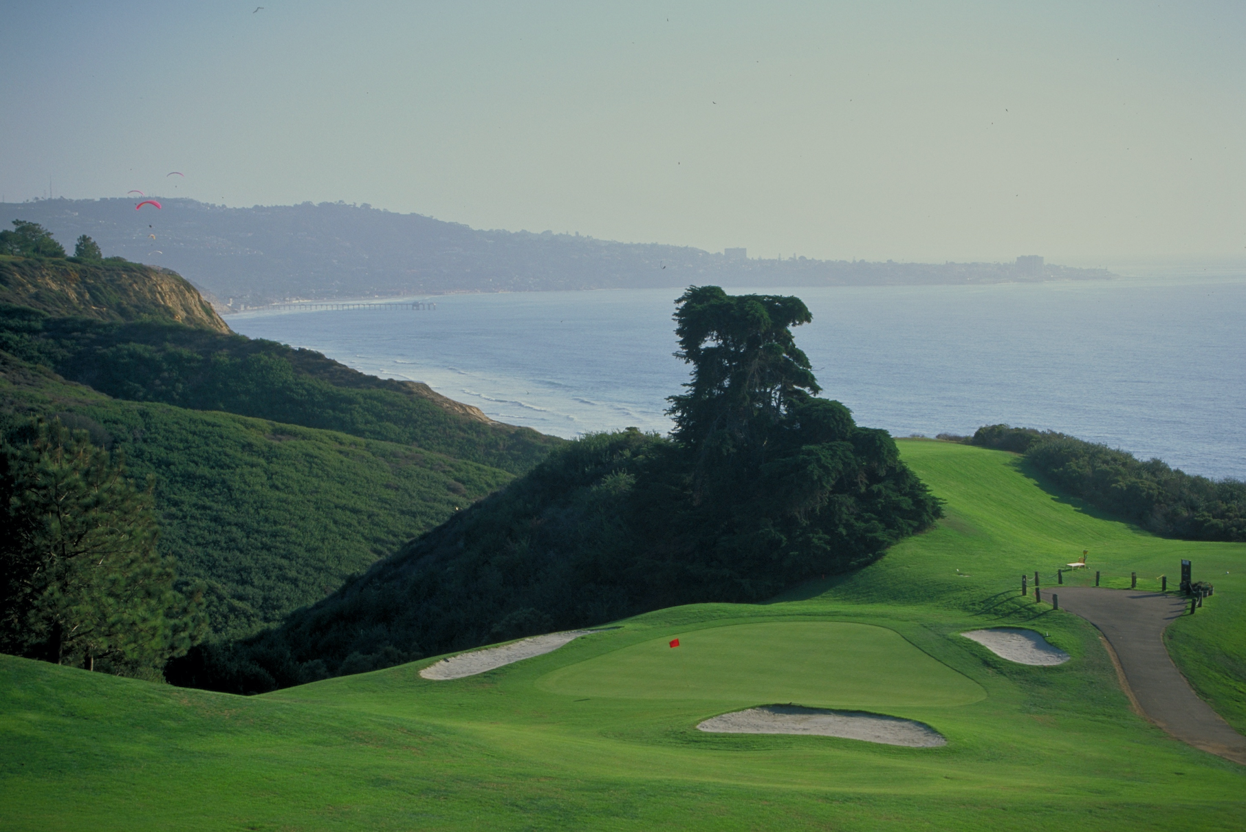 Torrey Pines Renovation